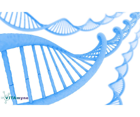 Die Schlüsselrolle der Genetik für die Langlebigkeit und wie du dein genetisches Potenzial nutzen kannst