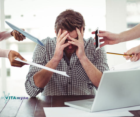Stress und seine Auswirkungen auf die Langlebigkeit: Wege zur Stressbewältigung