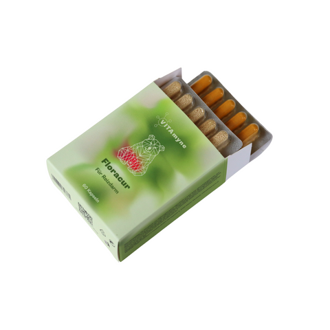 Geöffnete Verpackung Kapseln von VITAmyne Floracur mit Inhaltsstoffen wie Vitamin C, Glutamin, Weihrauch und Kurkuma zur Unterstützung der Darmgesundheit