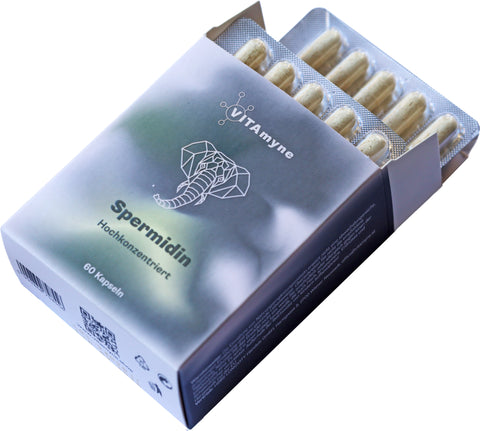 Offene Verpackung sichtbare Kapseln von VITAmyne Spermidin 6 mg – hochdosierter Weizenkeimextrakt zur Förderung der Zellgesundheit