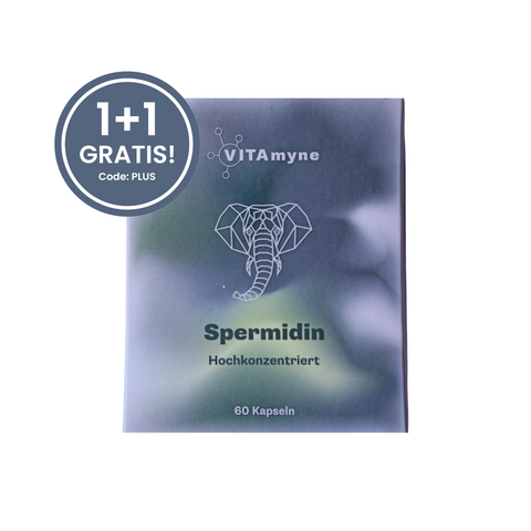 Spermidin 6mg